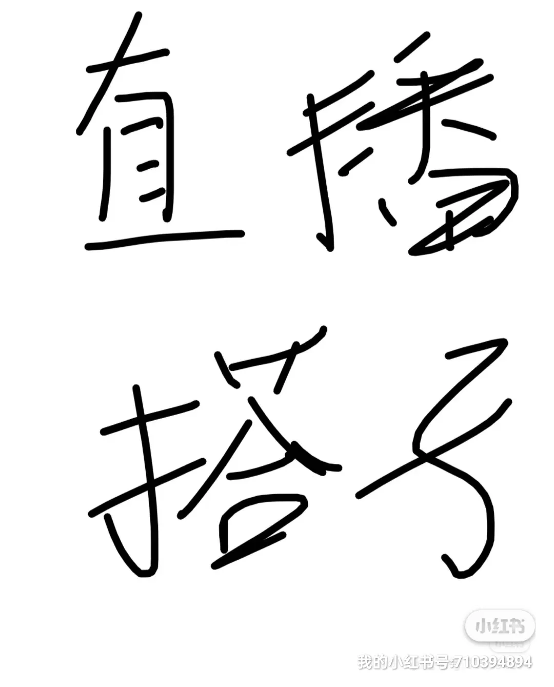 女装直播搭子
