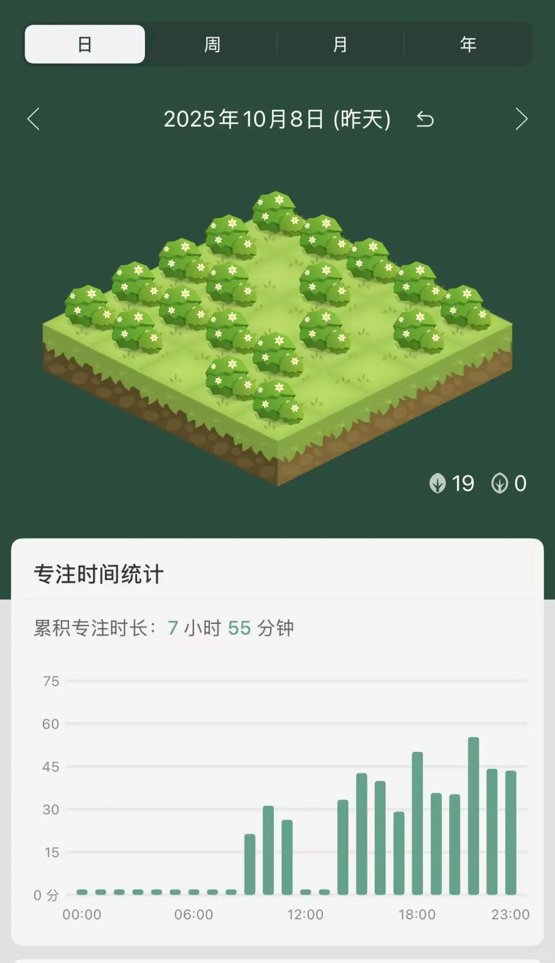 社招day55
