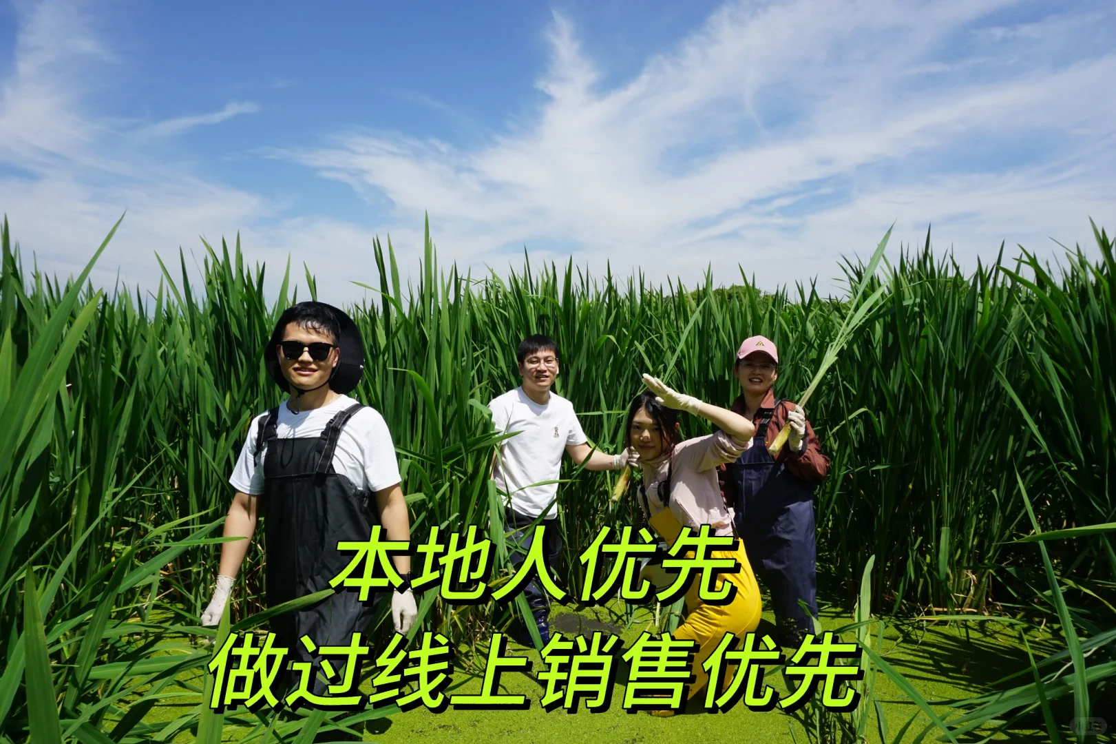 招人招募招聘