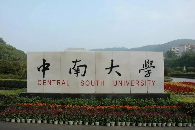 中南大学国际教育学院非事业编制工作人员