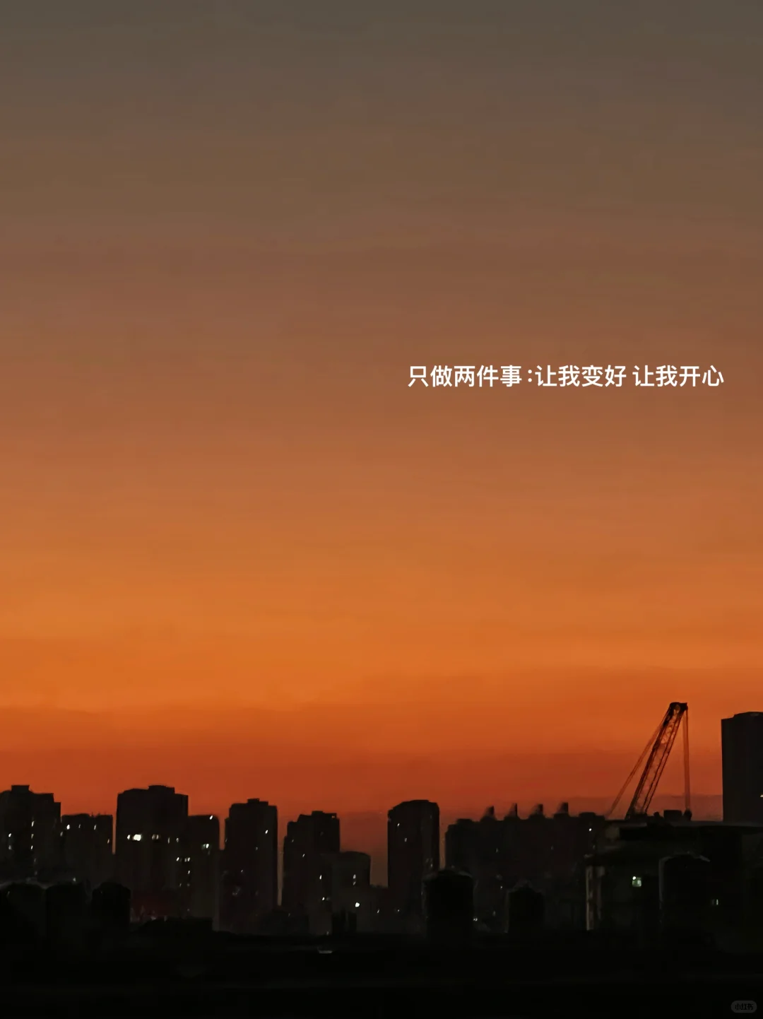朋友圈plog/“被五险一金困住的自由灵魂”