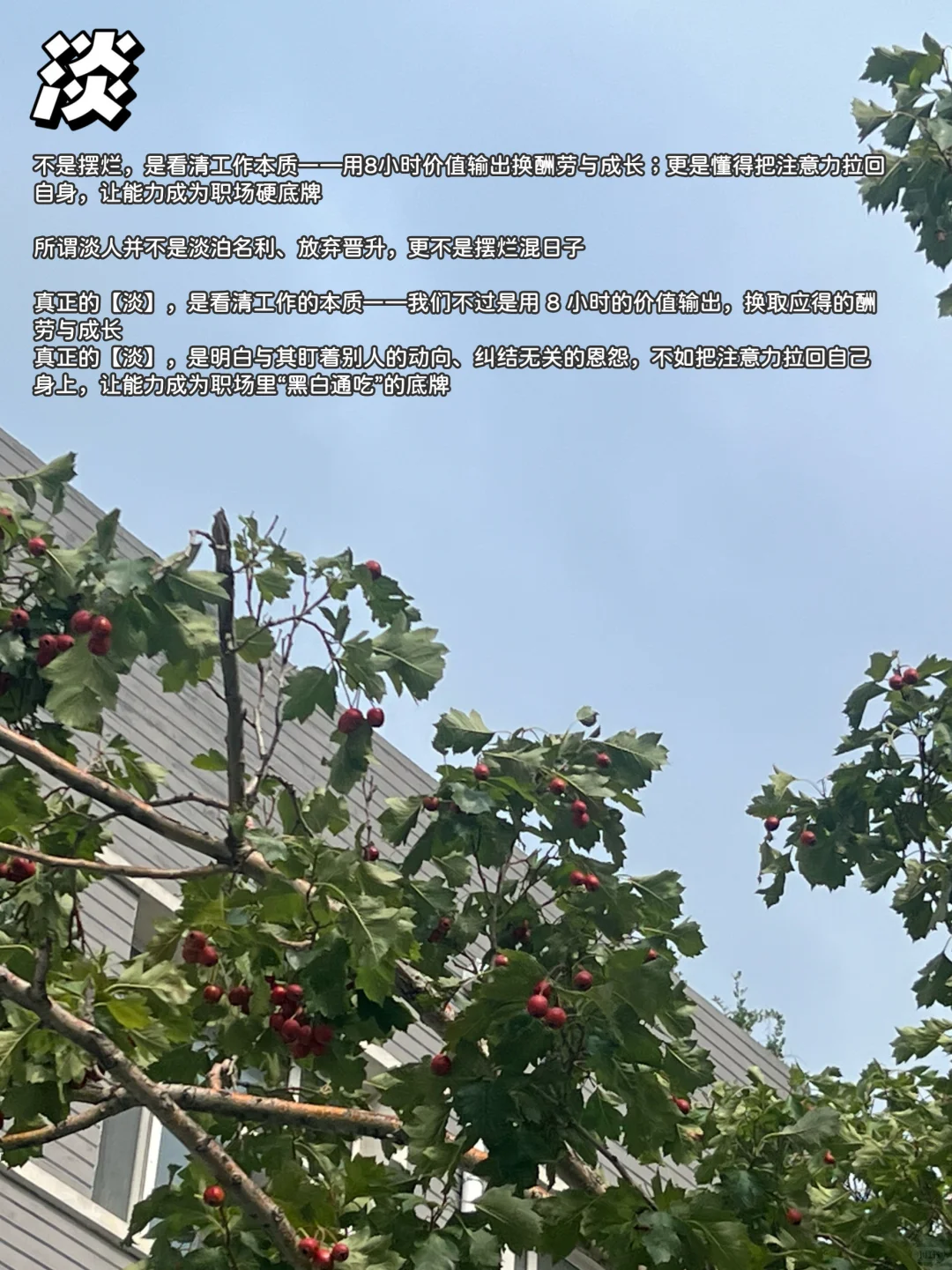 37岁才明白：淡人才是职场最好的人设