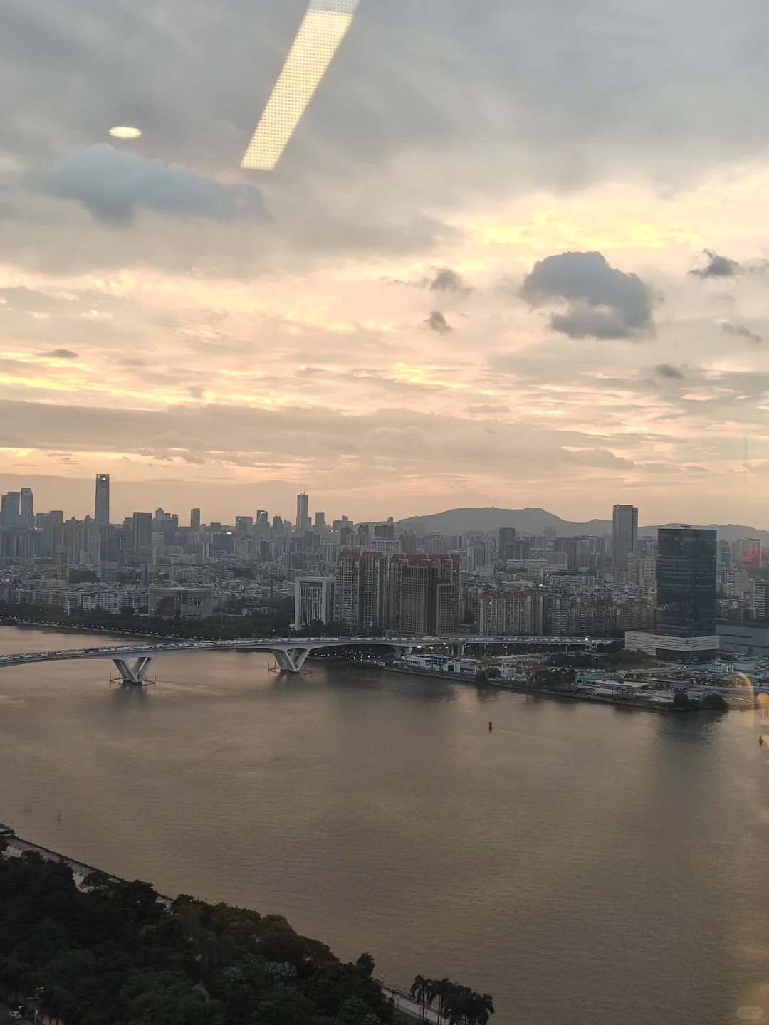 逸仙实习半个月有感
