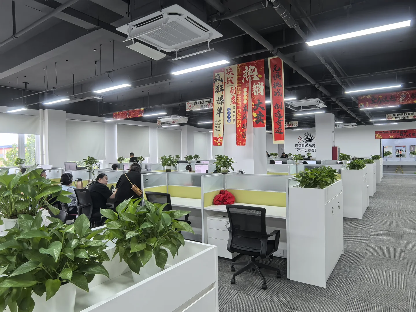 国企电话车险销售岗位高薪招聘