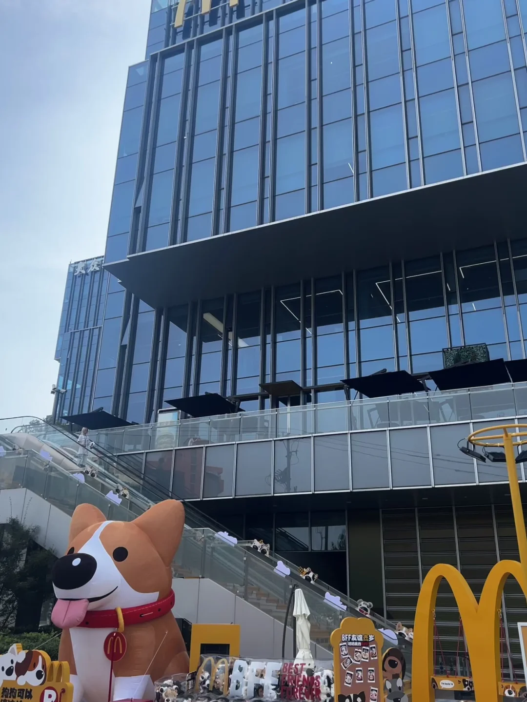 麦门永存 🍔大学求继任！！