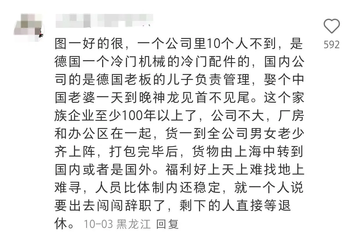 XHS翻烂，扒出最适合草包留子的外企是…