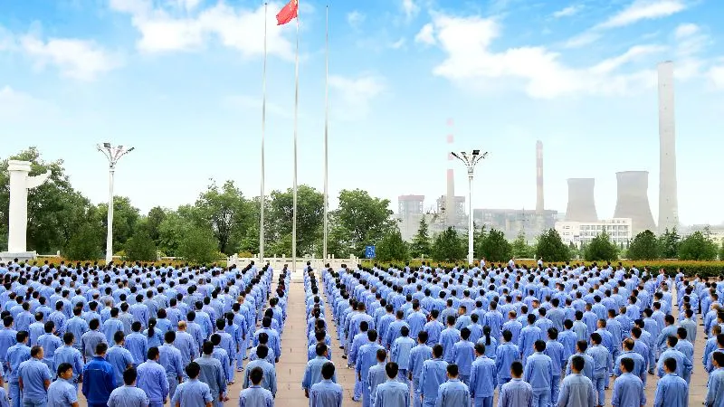 万基控股集团招聘斗轮机司机岗位