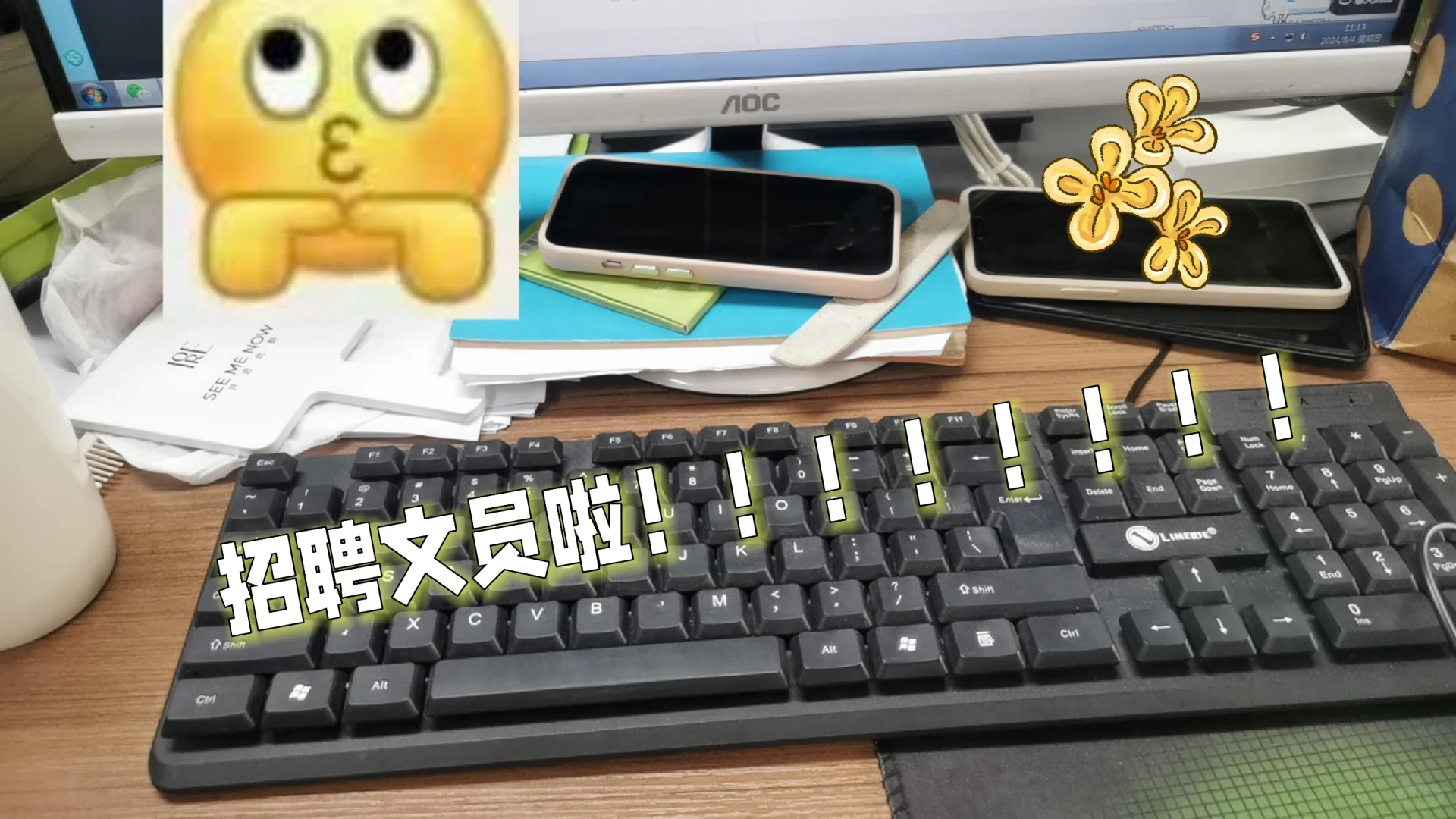 招聘文员啦！小白也可