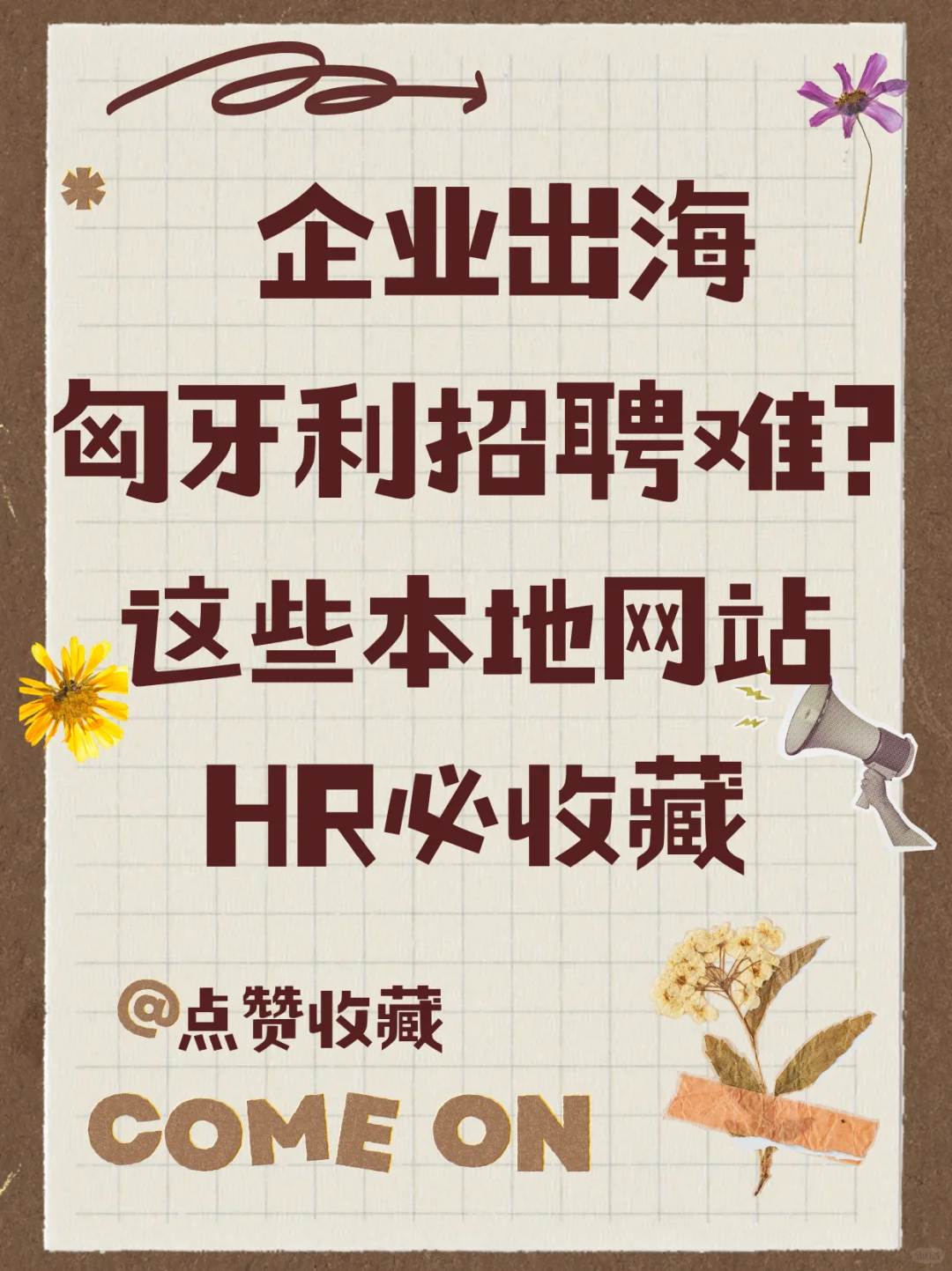 企业出海匈牙利招聘难？这些本地网站必收藏