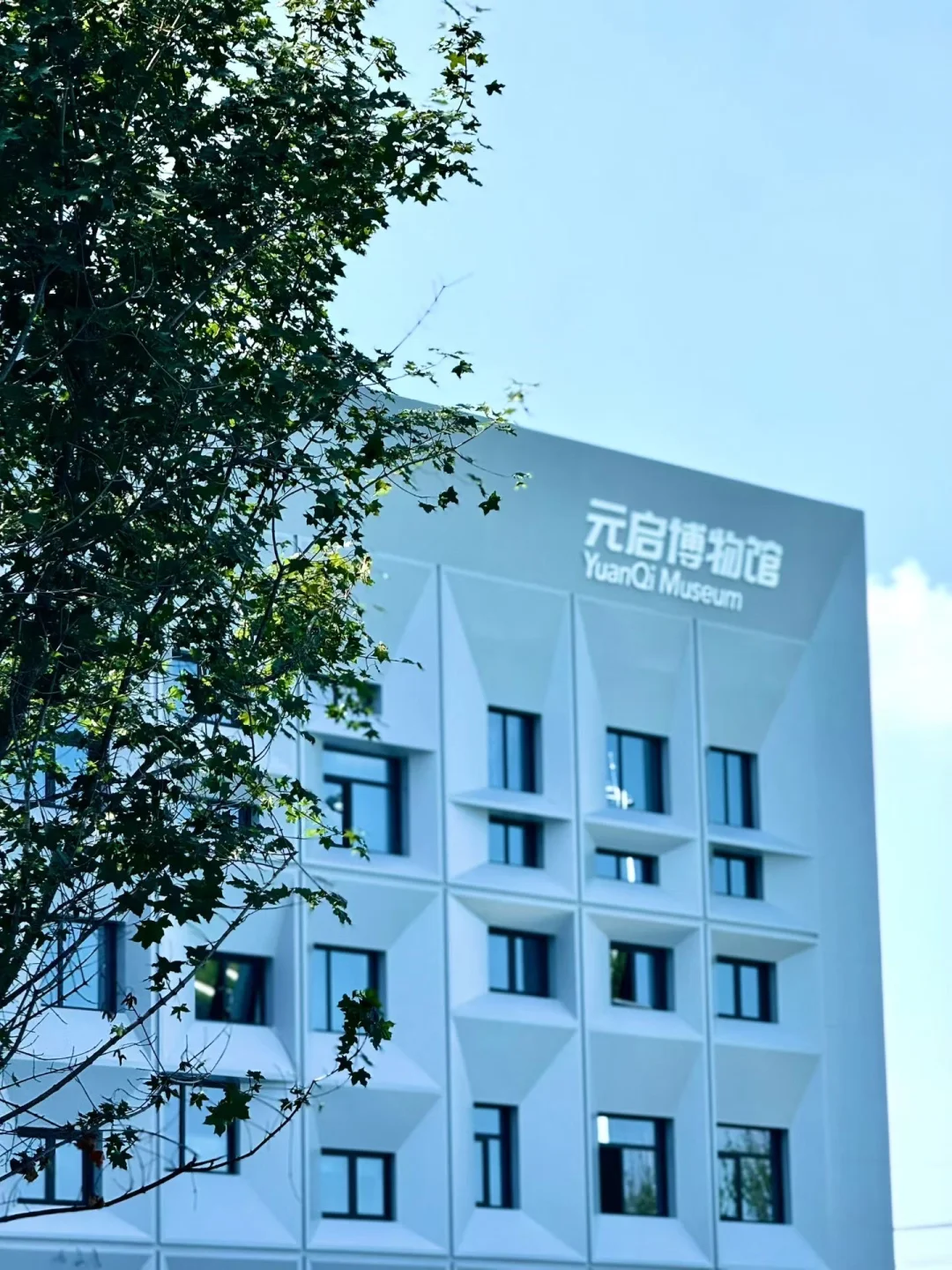 东北育才浑南科技城学校招聘公告！