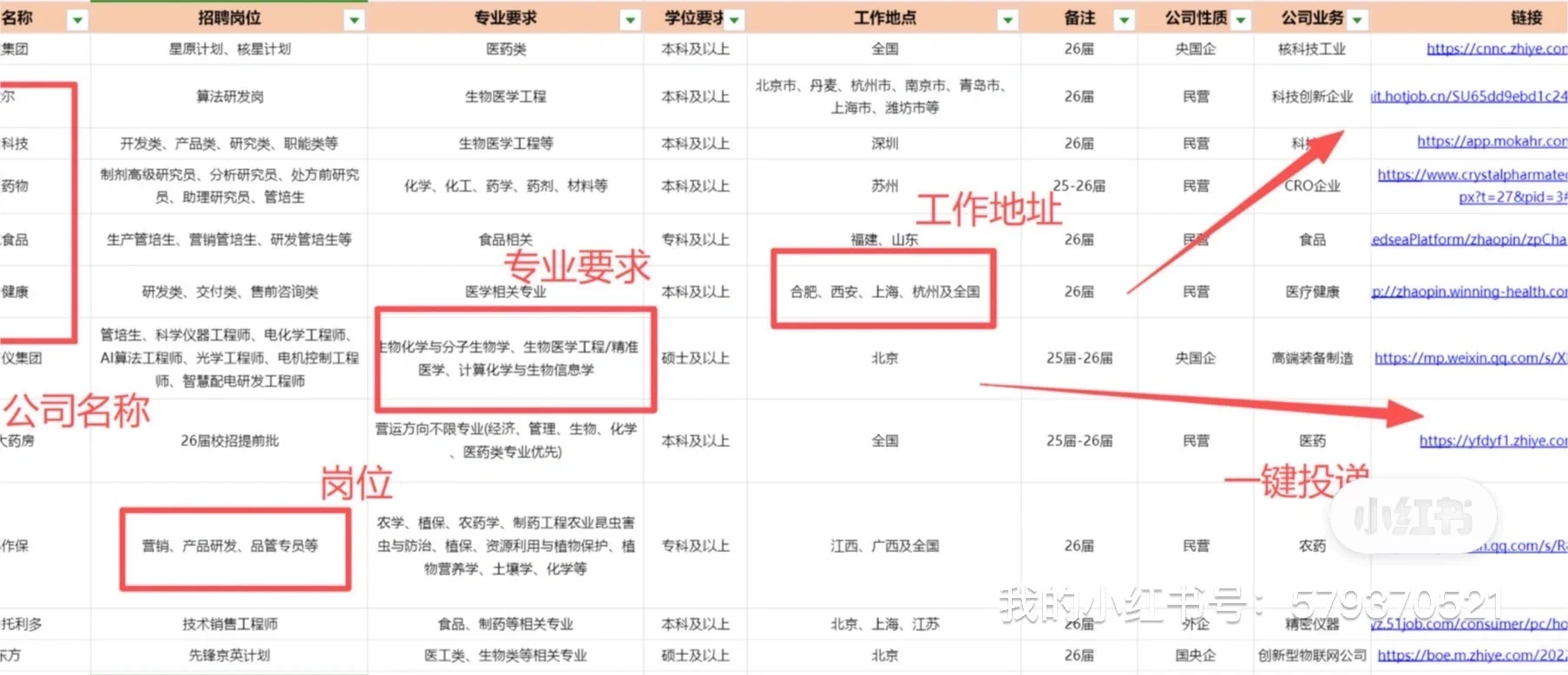 生物、医药专业26届招聘信息