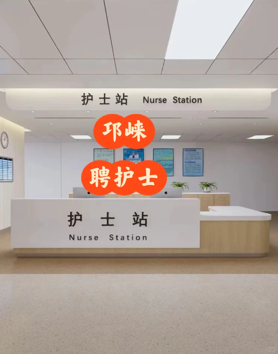 邛崃市聘护士数名