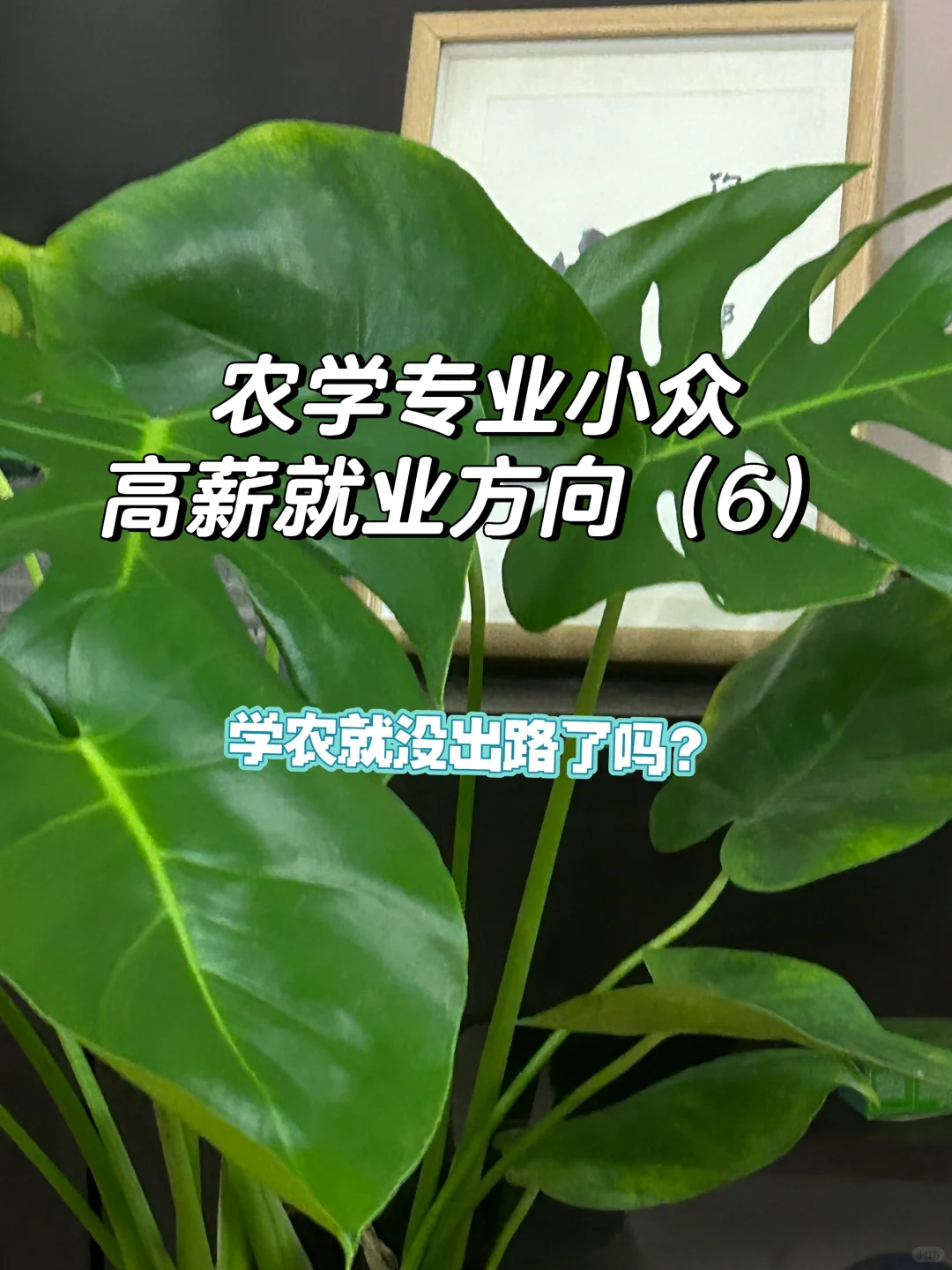 农学小众高薪就业方向6-就业出路在哪