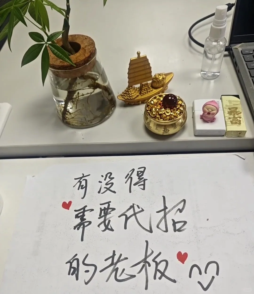 有没得需要代招的老板