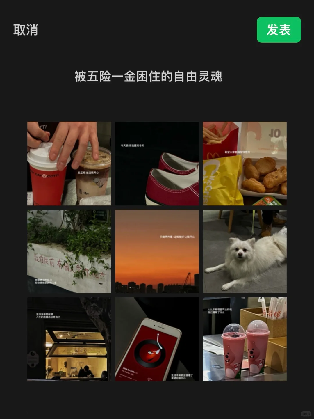 朋友圈plog/“被五险一金困住的自由灵魂”