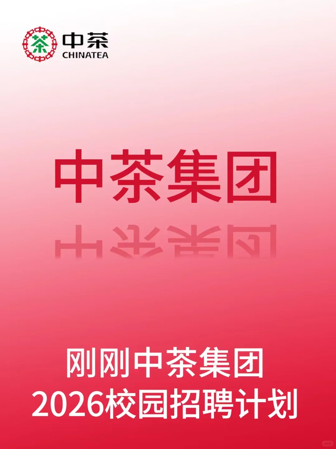 中茶集团最新招聘信息！
