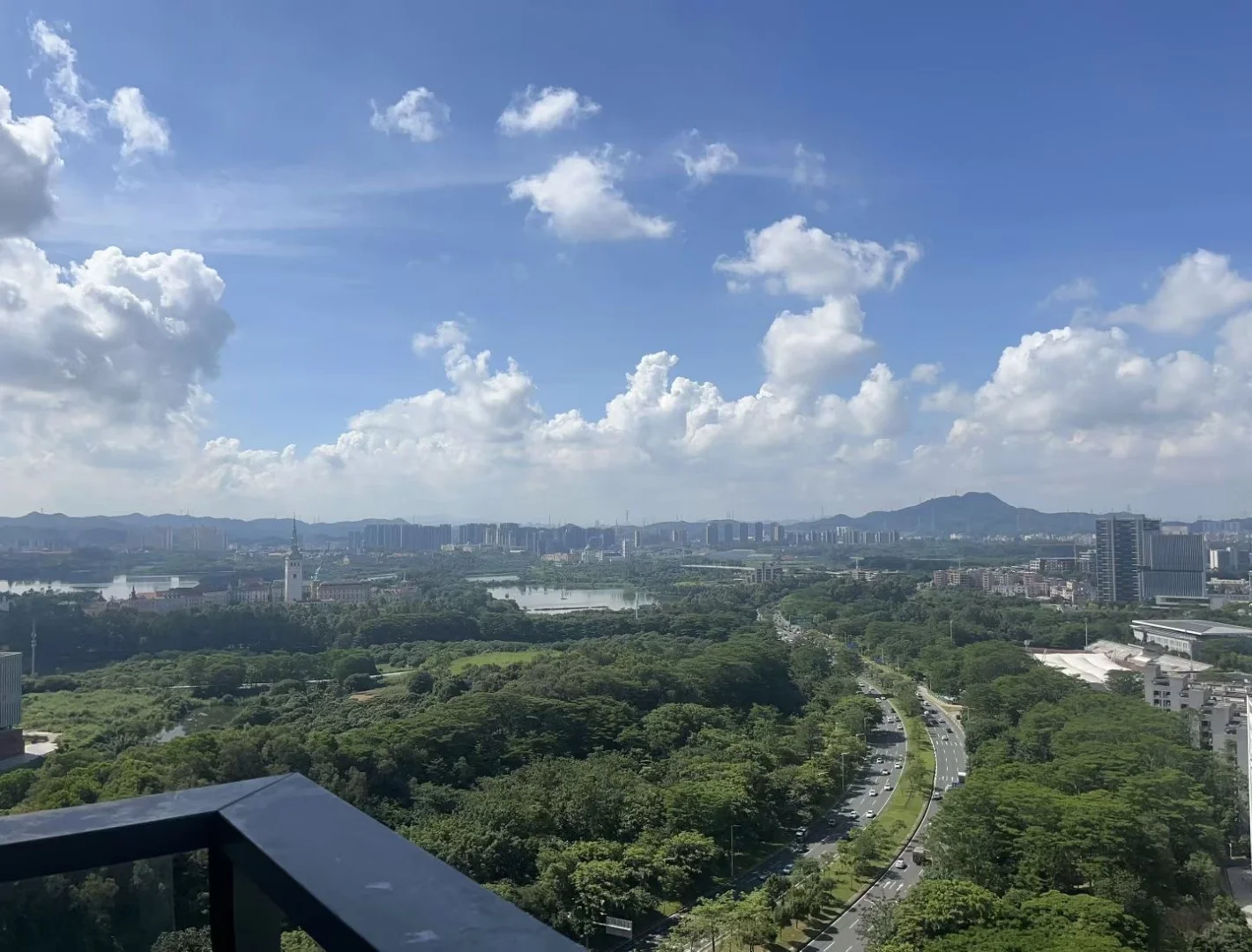国际人才社区12栋景观