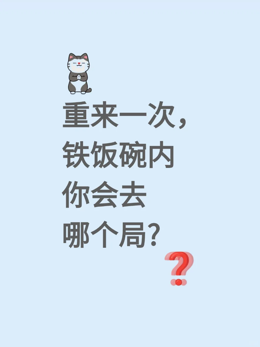 重来一次！铁饭碗里你最想进哪个局？