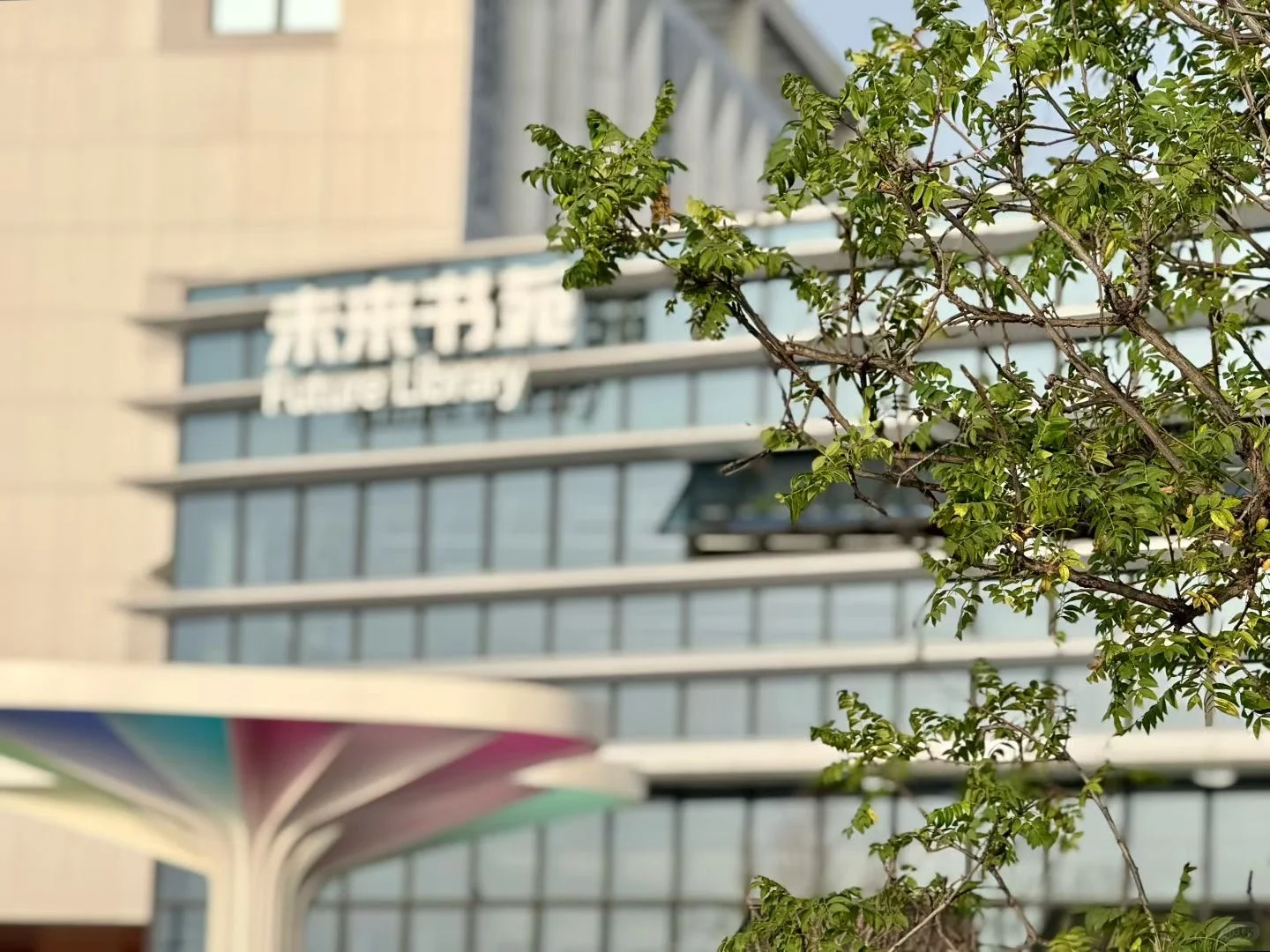 东北育才浑南科技城学校招聘公告！