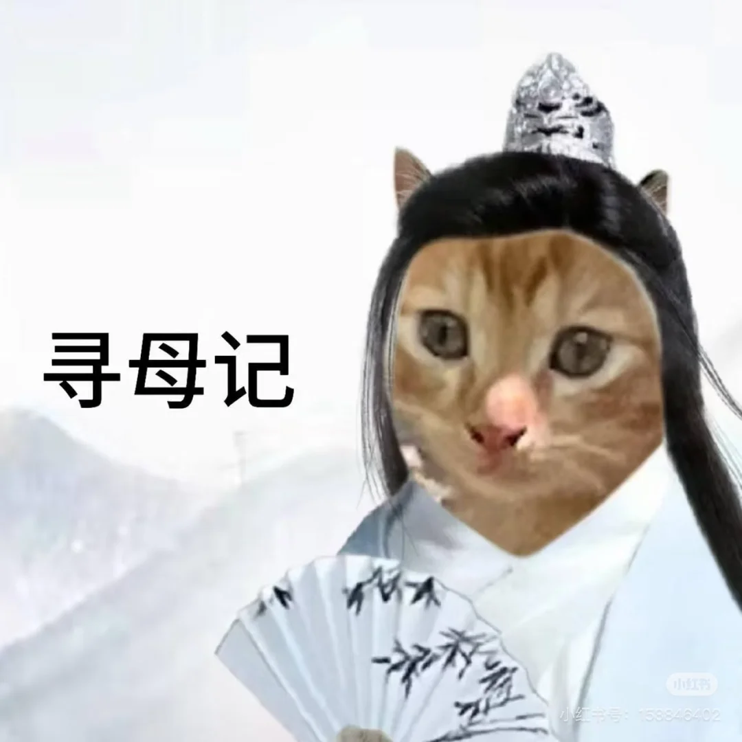 可有家住毕节的姑娘中意此狸奴