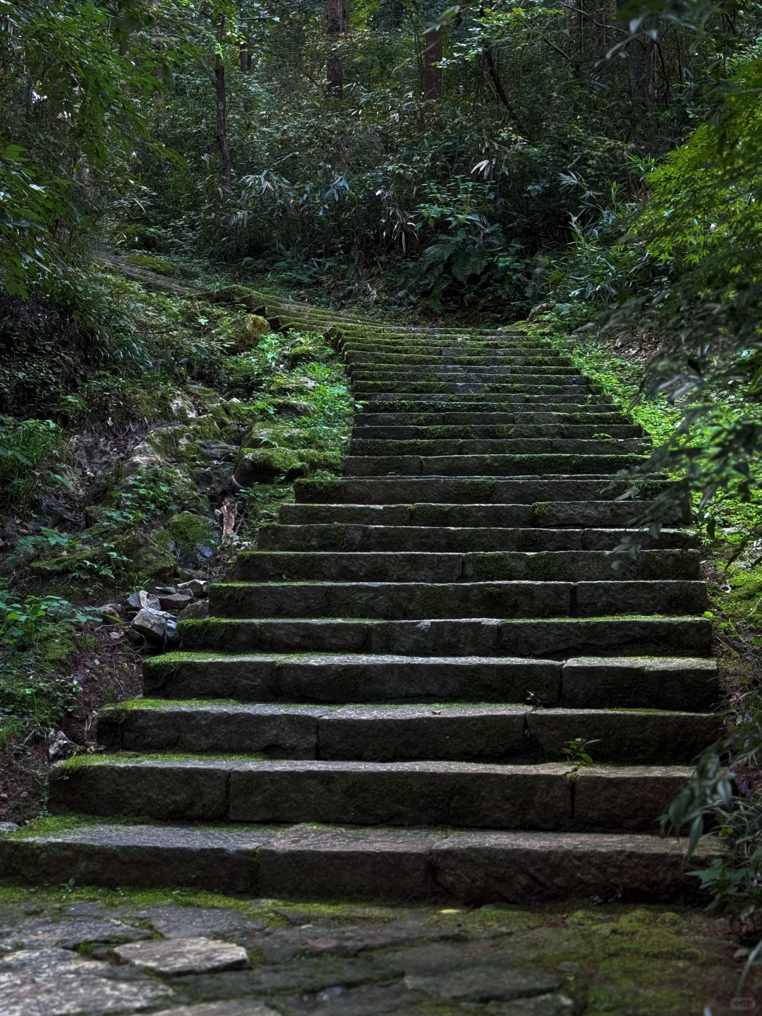杭州徒步｜一条被忽略的西湖秘境路线