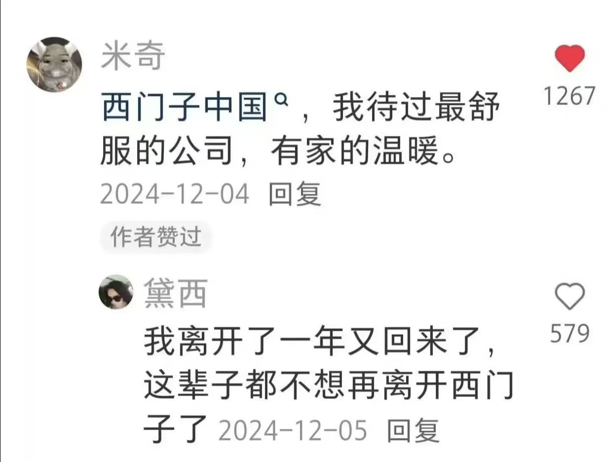XHS翻烂，扒出最适合草包留子的外企是…
