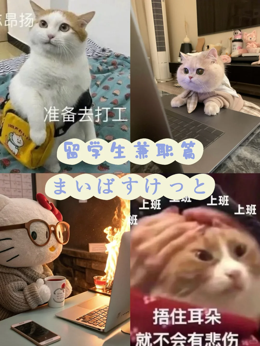 🇯🇵留子打工好去处永旺まいばすけっと菜篮子