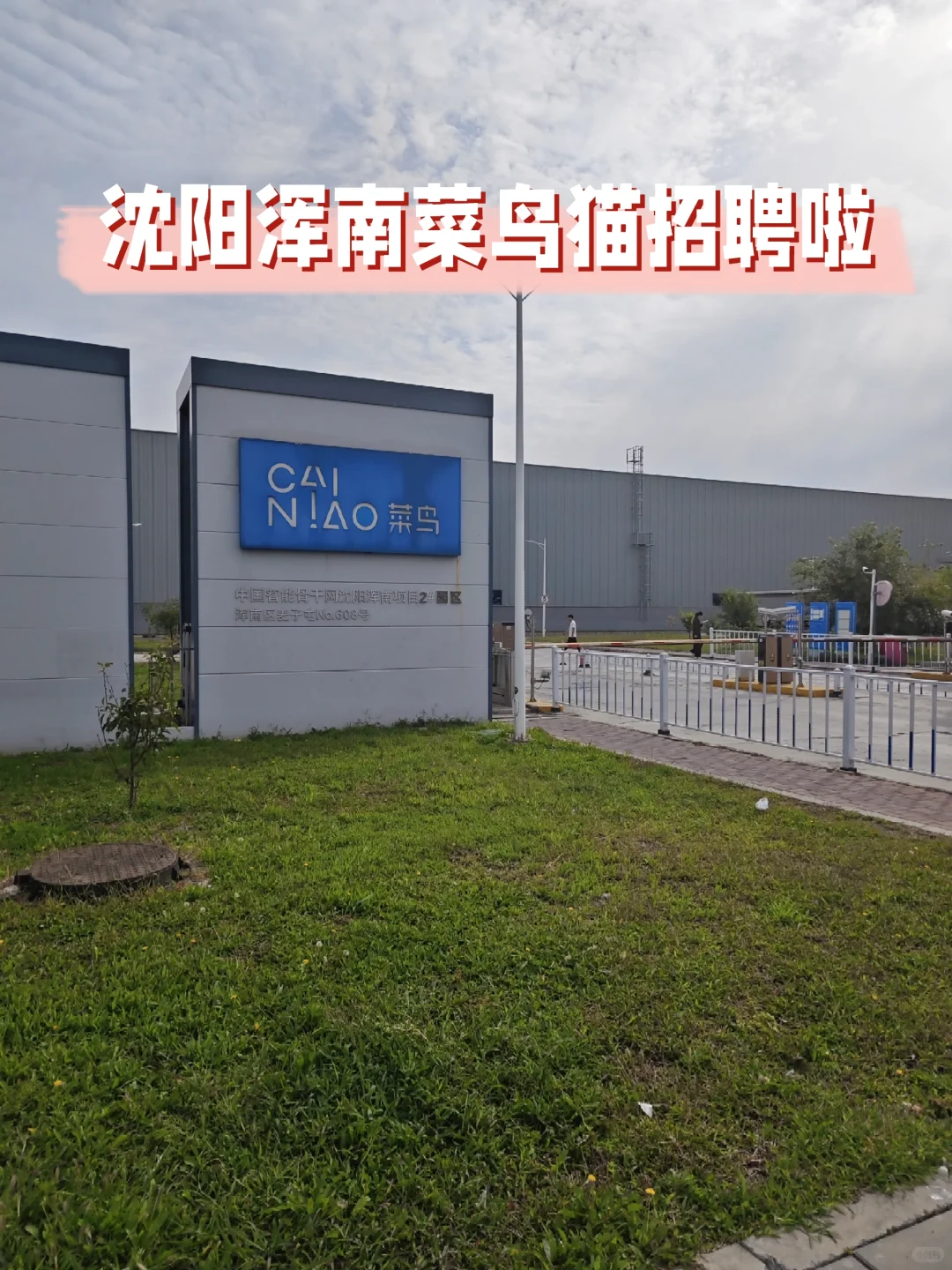 沈阳浑南菜鸟猫超仓招聘