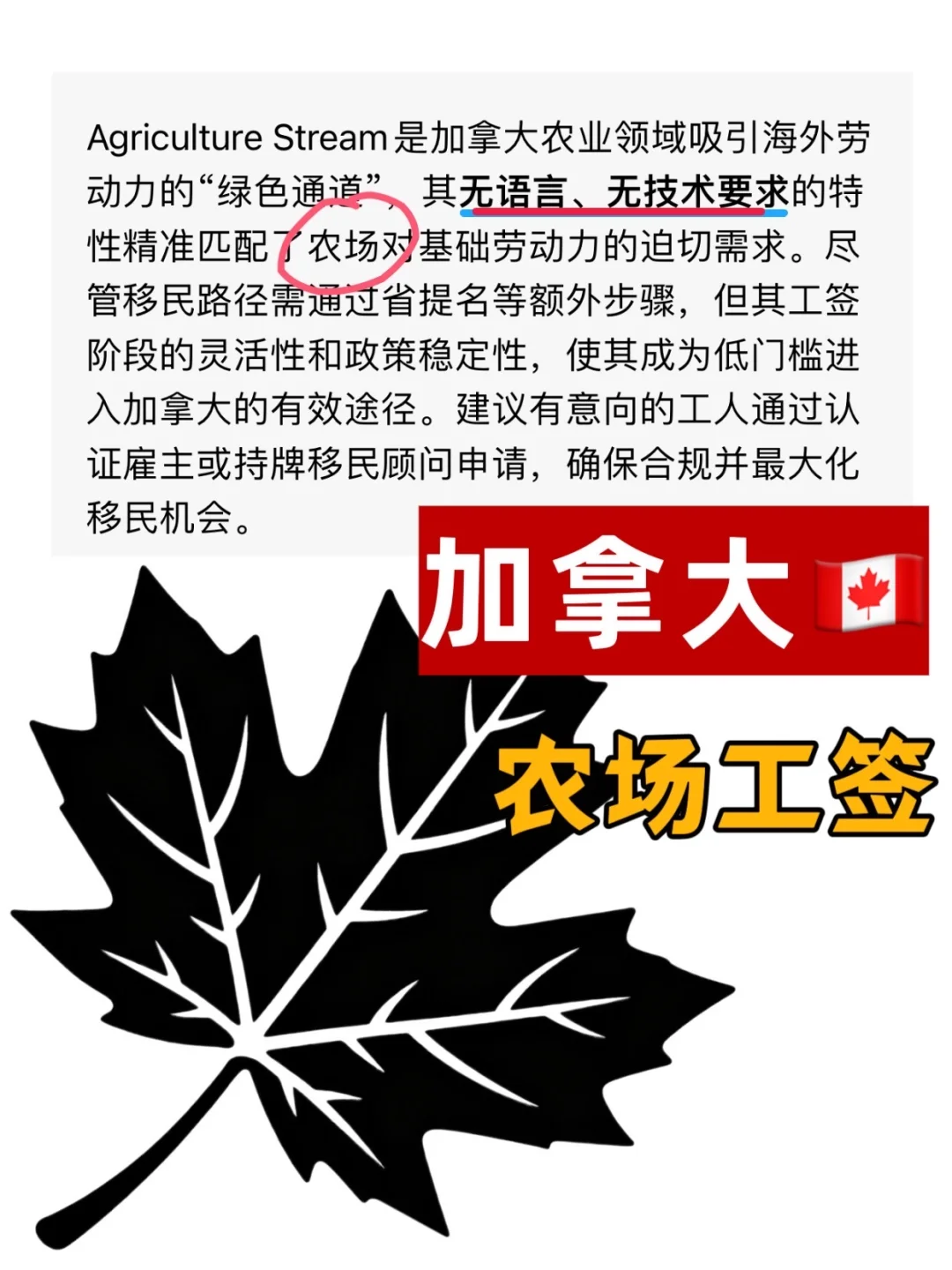加拿大农场工签