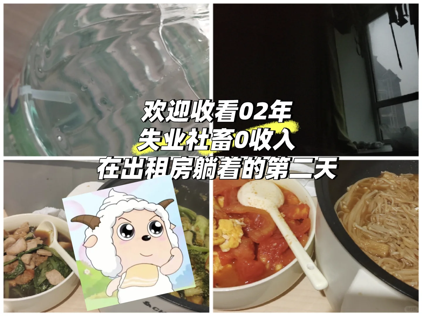 失业社畜躺重甲醛出租房倒霉的碎碎念一天