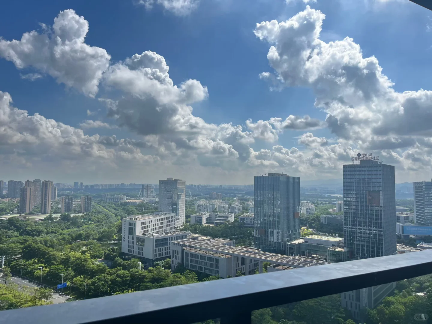 国际人才社区12栋景观