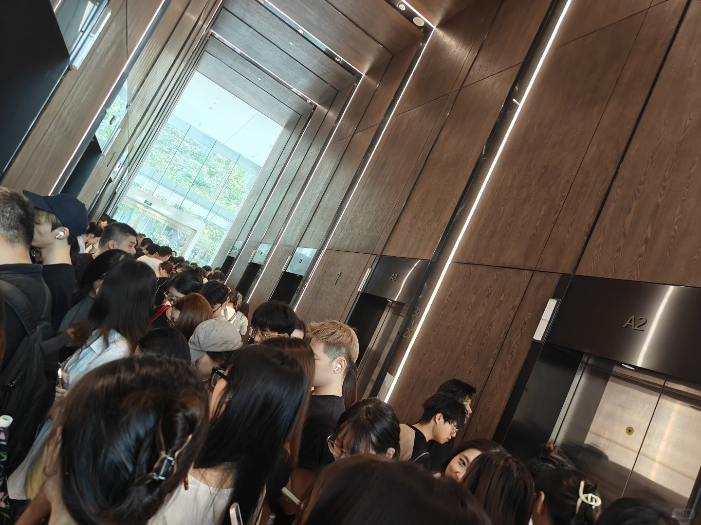 逸仙实习半个月有感