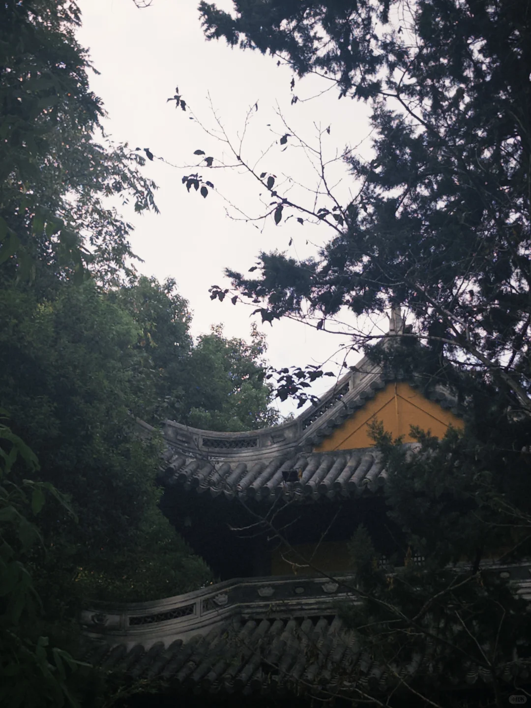 建议不想上班的人，请先开始做以下4个准备