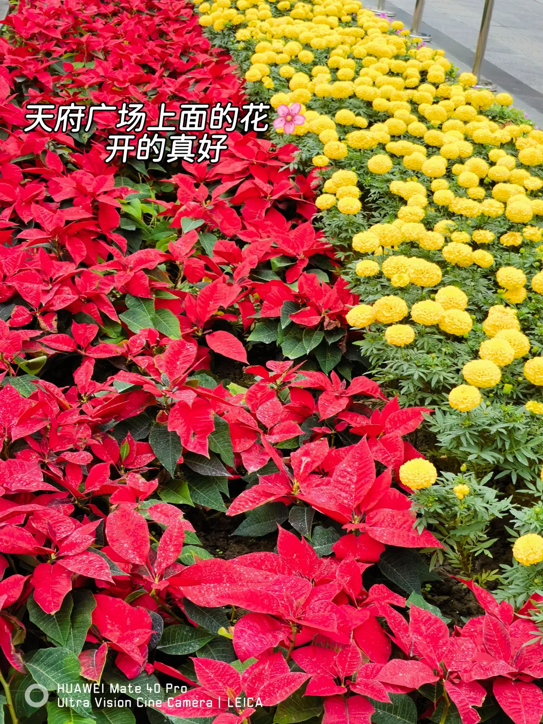 88年月薪4500存钱日常，毛绒玩具好自愈