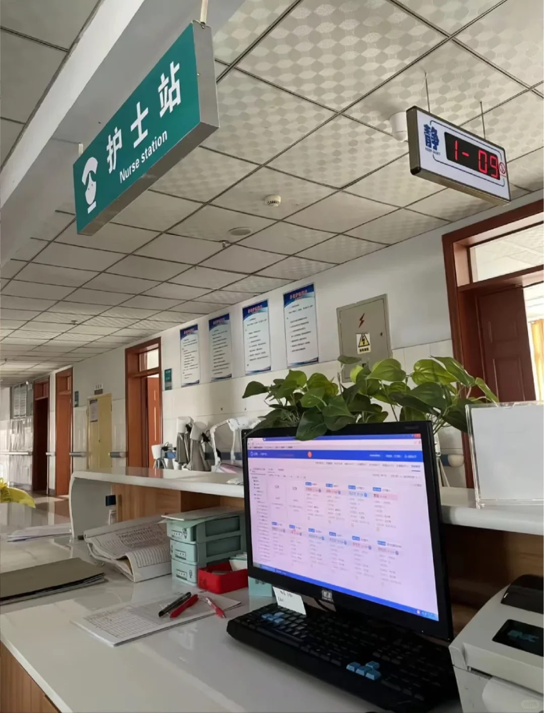 急‼️大渡口社区护士，大专上岸