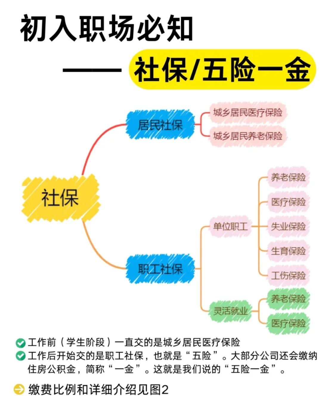 新手入职第一课：看懂五险一金