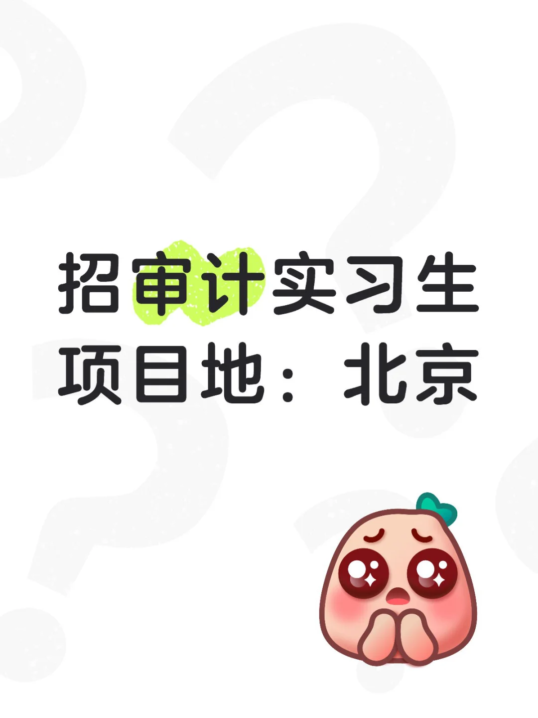 八大招审计实习生 项目组直招