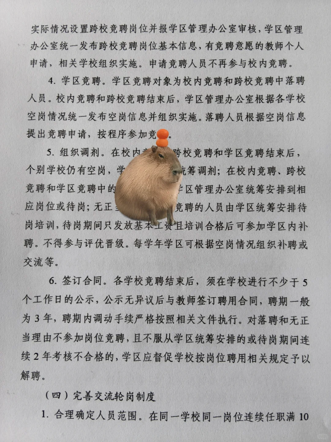 学区制管理-县管校聘-交流轮岗-退出机制