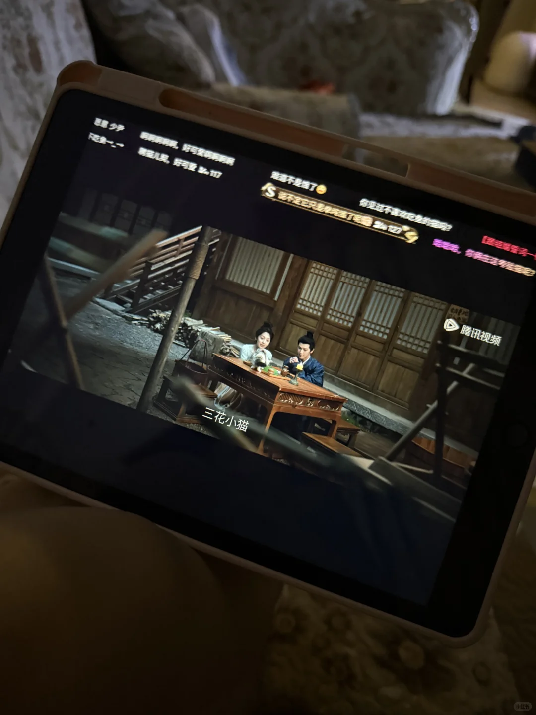 宴遇永安居然把聘猫礼拍出来了