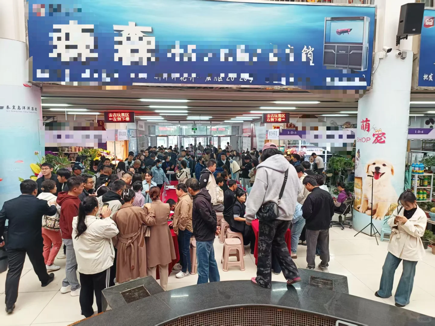 秦皇岛招聘会实拍：百余企业多岗位招聘