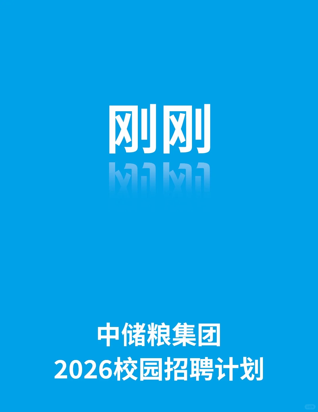 中储粮2026校园招聘公告