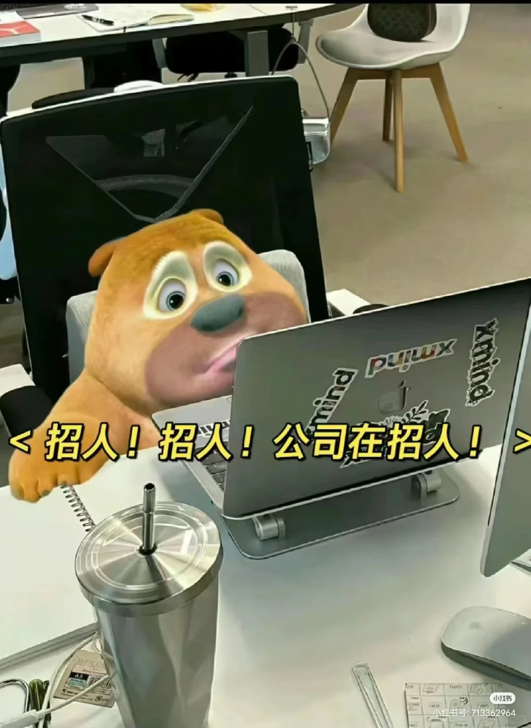 招人招人，公司在招人