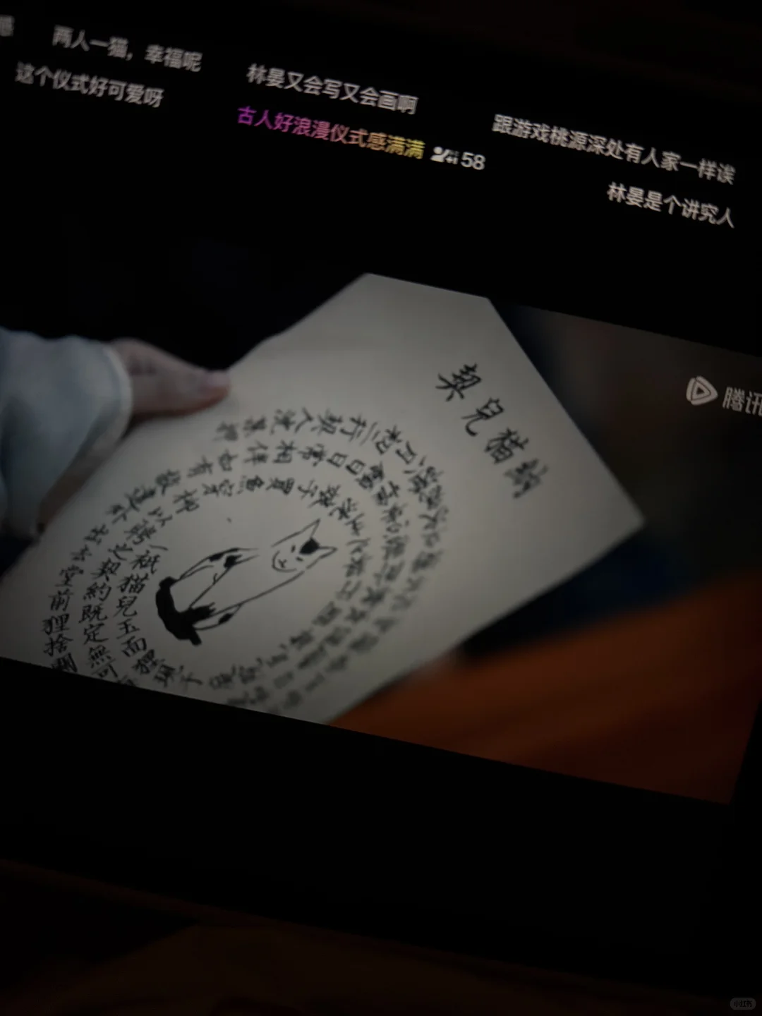 宴遇永安居然把聘猫礼拍出来了