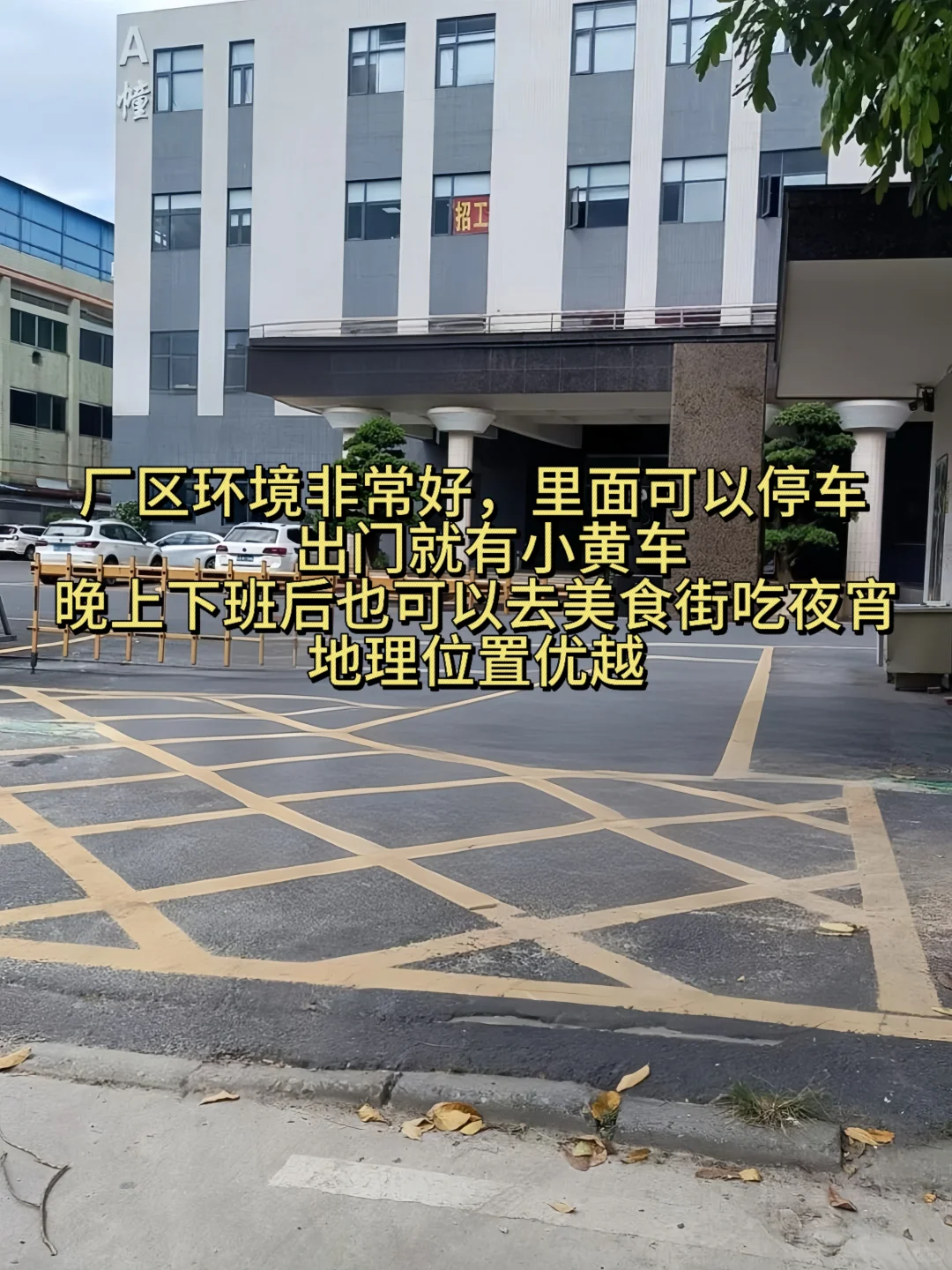 狠狠推荐我在南昌干的这家充电头厂