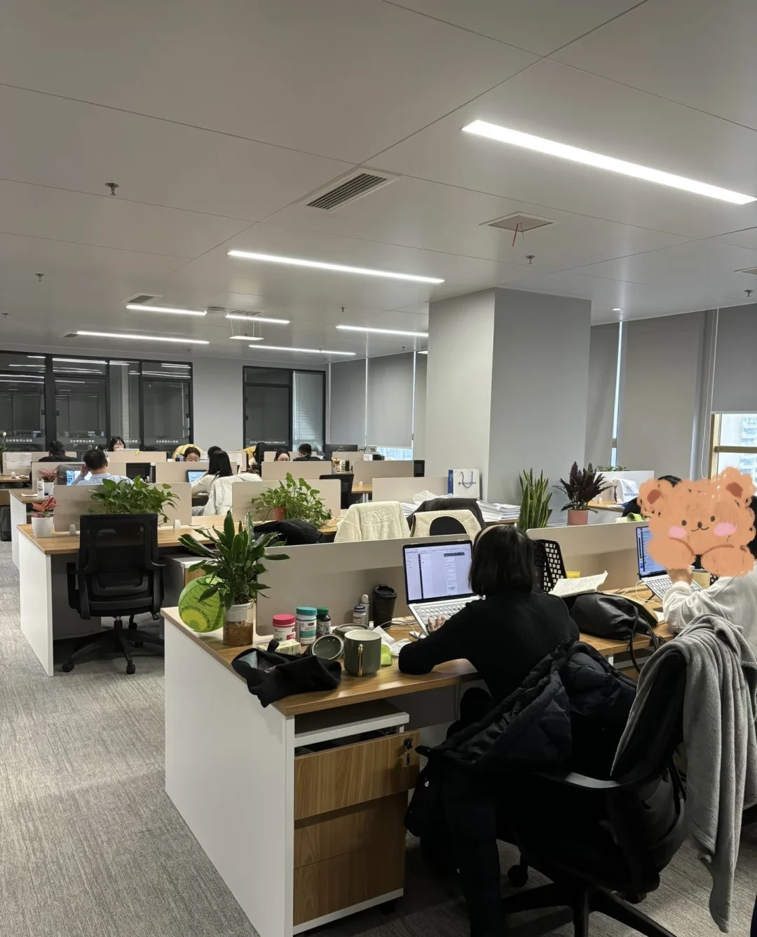 纯打字文职，双休，入职缴纳五险一金