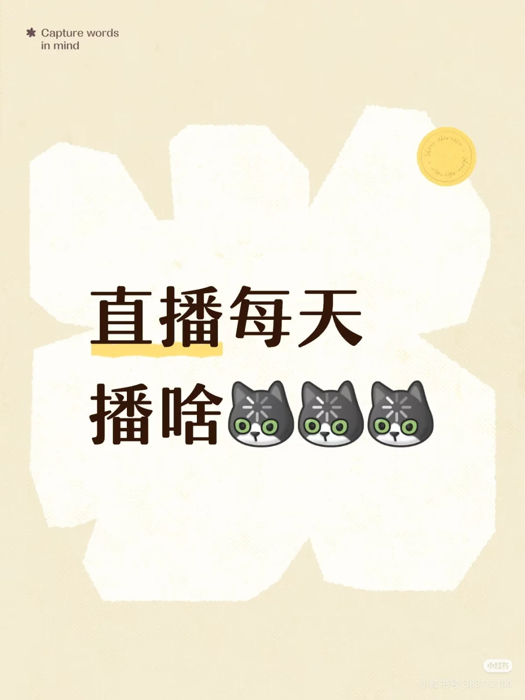 直播每天播啥
