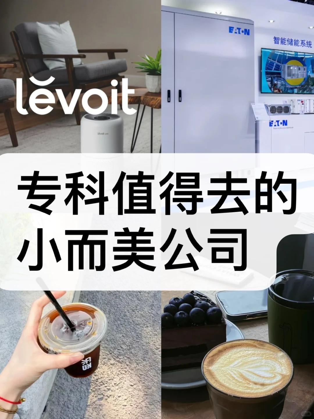 《专科生逆袭指南：这些“小而美”公司值得投！》
