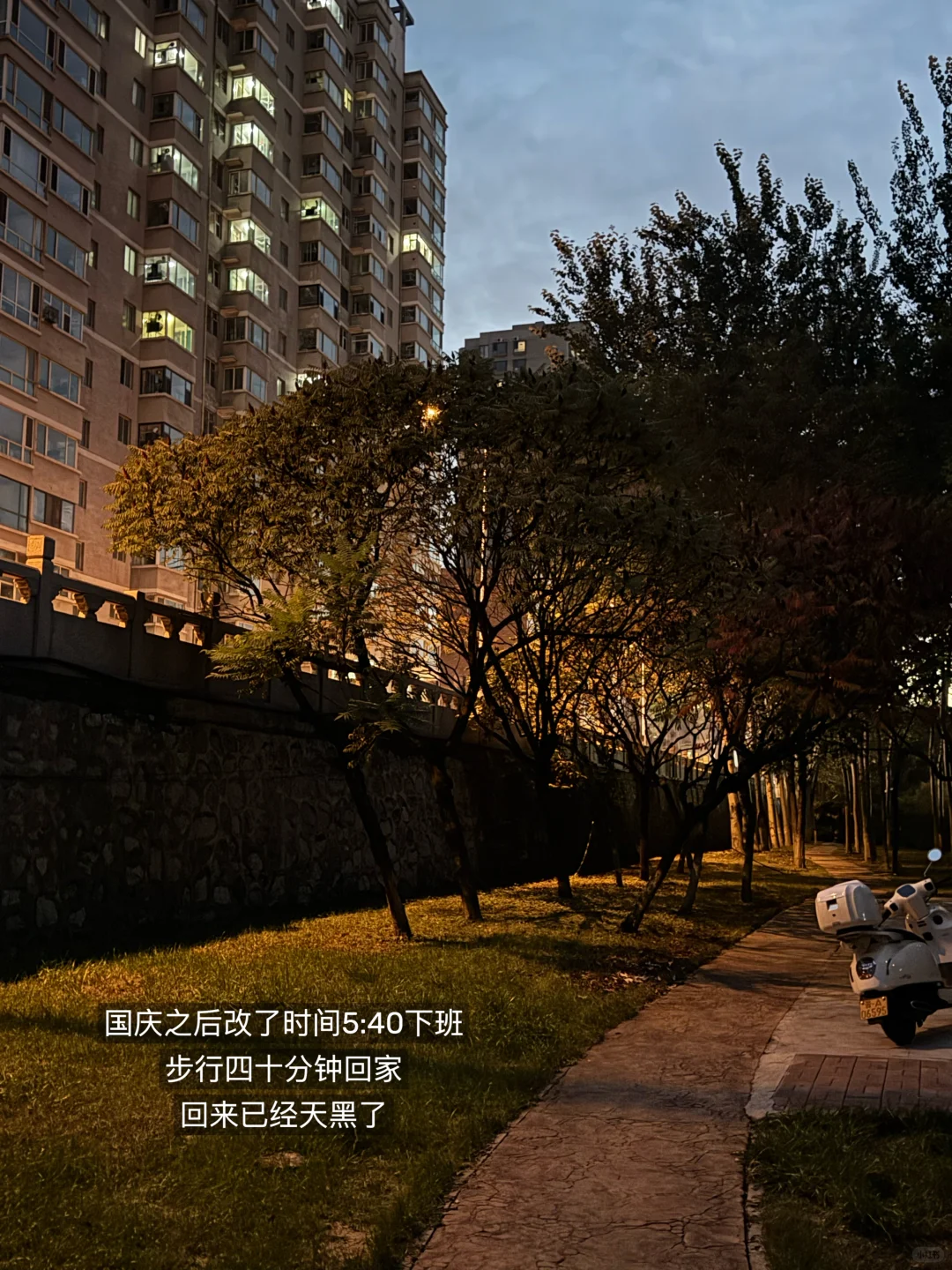 PLOG|月薪4K｜双十一开启🔛购物欲蹭蹭上涨📈