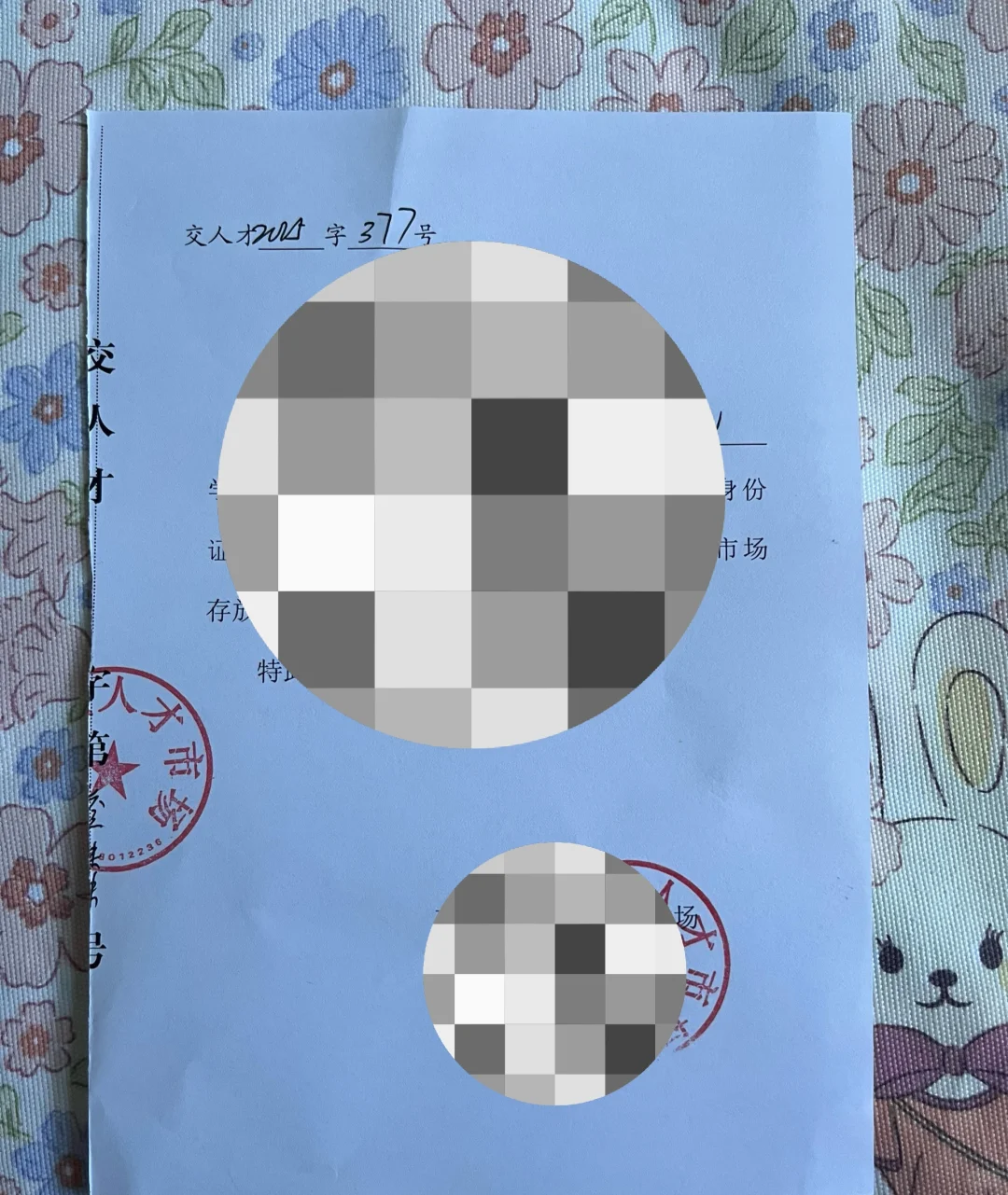 记录自己社工上岸从报名到岗前