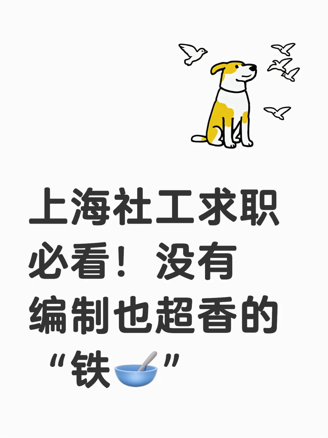 上海社工求职必看！没有编制也超香的 “铁